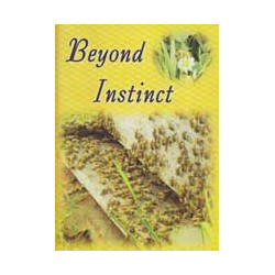 Beyond Instinct